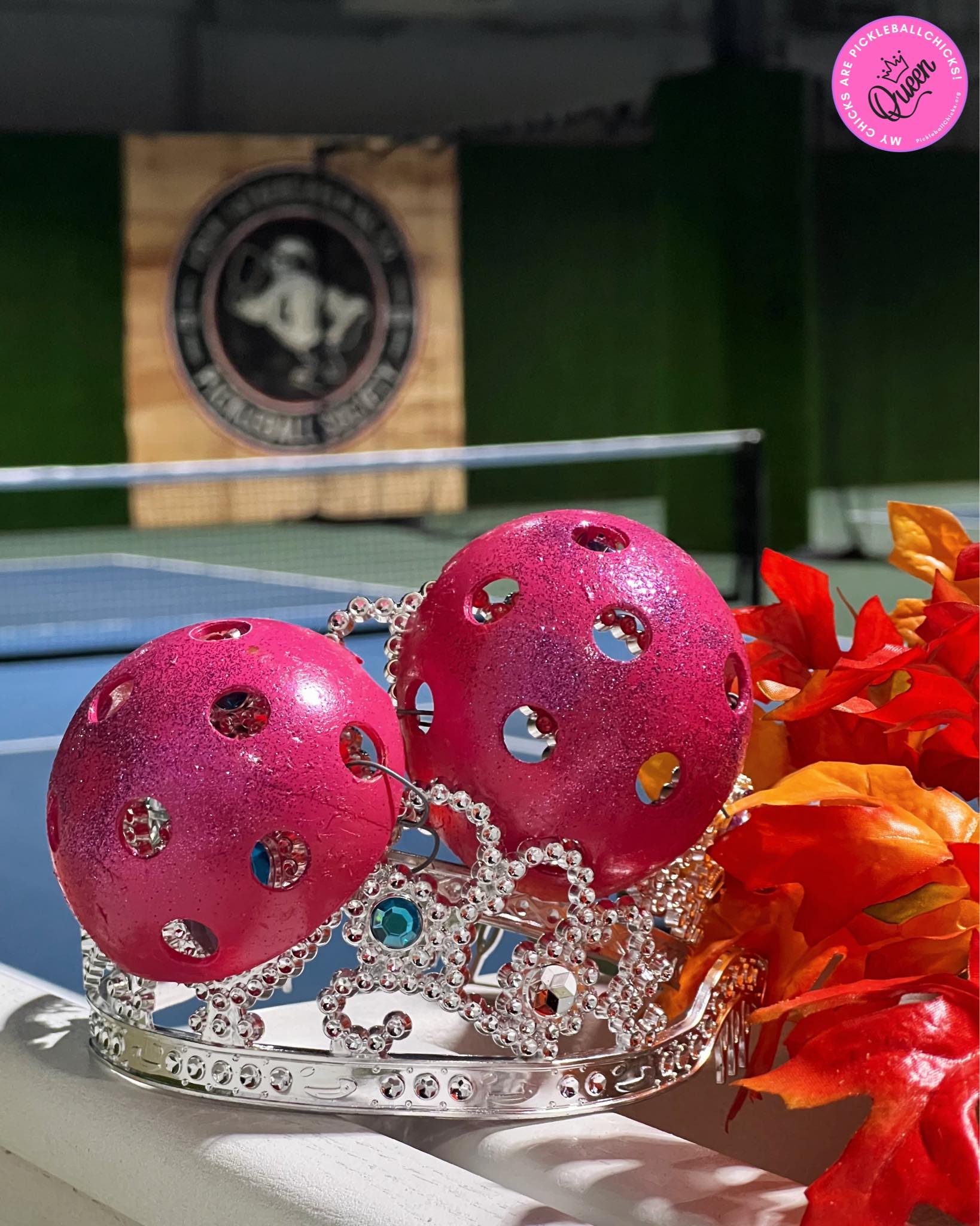 Get a peek into the wonderful world of PickleballChicks Tournaments!